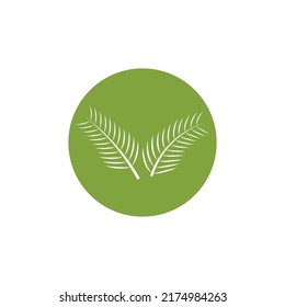 Modelo de logotipo de la ilustración de la hoja de palmera diseño vectorial