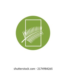 Palm tree leaf illustration logo template vector design