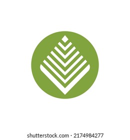 Modelo de logotipo de la ilustración de la hoja de palmera diseño vectorial