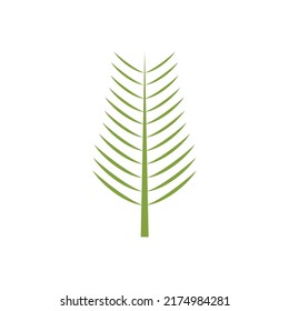 Palm tree leaf illustration logo template vector design