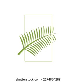 Palm tree leaf illustration logo template vector design