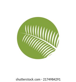 Modelo de logotipo de la ilustración de la hoja de palmera diseño vectorial