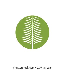 Modelo de logotipo de la ilustración de la hoja de palmera diseño vectorial