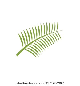 Palm tree leaf illustration logo template vector design