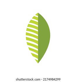 Palm tree leaf illustration logo template vector design
