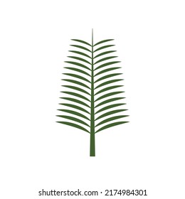 Modelo de logotipo de la ilustración de la hoja de palmera diseño vectorial