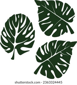 Palmenblatt-Naturgrafik, Vektorgrafik 