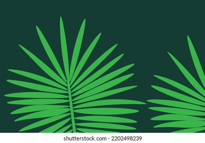 Palm tree leaf on dark green background.