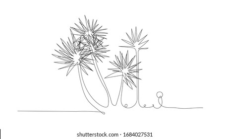 Palm tree leaf one continuous line art drawing. Doodle for design poster, banner, site page, flyer, card. Vector outline sketch illustration on white background. Hand drawn linear nature tree