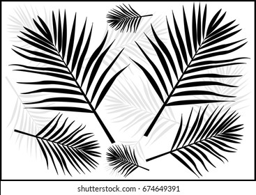Palm Tree Leaf Silhouette Background - Illustration
Climate, Palm Tree, Plant, Rainforest, Summer