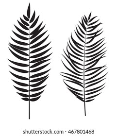 Palm Tree Leaf  Silhouette Isolated on White Background Vector Illustration EPS10