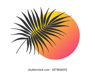 Palm tree leaf silhouette with sun. Tropical branch with sunset design. Vector illustration.