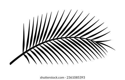 Silhouette de hojas de palmera. Rama tropical. Ilustración vectorial. 