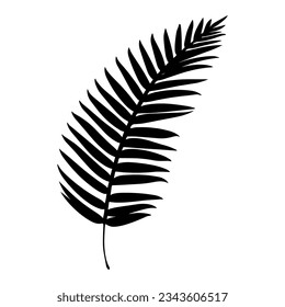 Palm tree leaf silhouette. Vector illustration
