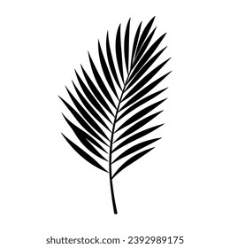 A Palm Tree Leaf Silhouette vector isolated on a white background