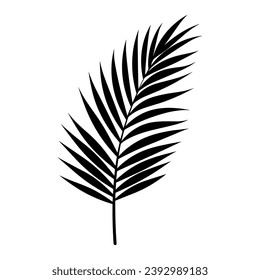 A Palm Tree Leaf Silhouette vector isolated on a white background