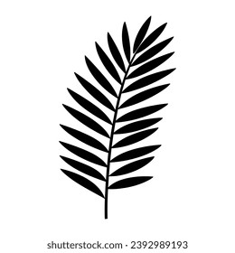 A Palm Tree Leaf Silhouette vector isolated on a white background