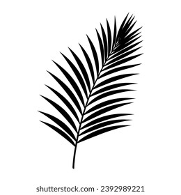 A Palm Tree Leaf Silhouette vector isolated on a white background