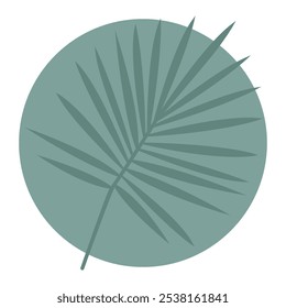 Silueta de hoja de palmera. Ilustración vectorial