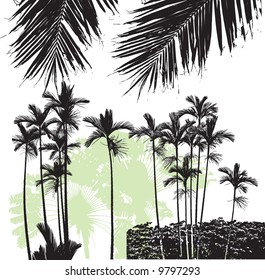 Palm tree and palm tree leaf silhouettes