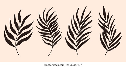 Palm tree leaf silhouettes set isolated on white background