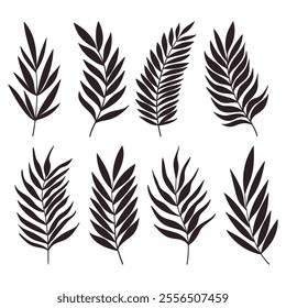 Palm tree leaf silhouettes set isolated on white background