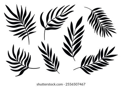 Palm tree leaf silhouettes set isolated on white background