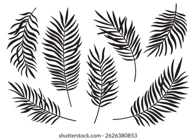 Palm tree leaf silhouettes set isolated on white background