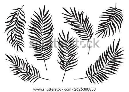 Palm tree leaf silhouettes set isolated on white background