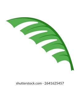 Palm tree Leaf. Summer nature element. Vector illustration of simple Palm Leaf isolated transparent background. Summer tropical art Sale poster banner object template design. EPS 10
