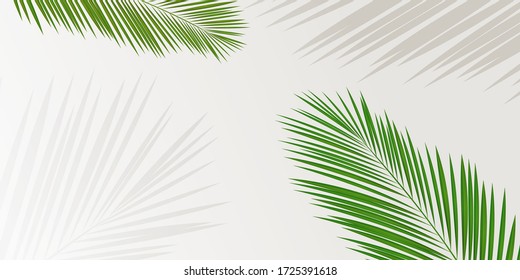 Palm tree leaf tropical background