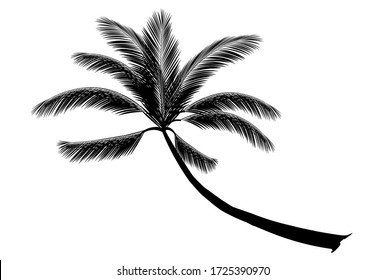 Palm tree leaf tropical icon