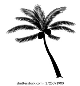 Icono tropical de la hoja de palmera