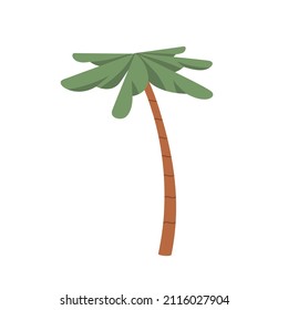 Palm tree with leaf and trunk. Exotic tropical summer plant with green leaves. Botanical flat cartoon vector illustration isolated on white background