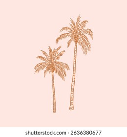 Palm tree with leaf and trunk. Exotic tropical summer plant silhouette with leaves. Botanical hand drawn vector illustration in sketch style