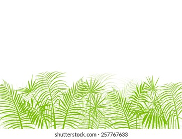 Palm tree leaf vector background ecology landscape