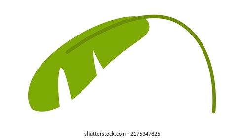 Palm Tree leaf. Vector illustration