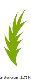 Palm Tree leaf. Vector illustration