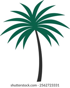 Palm tree leaf vector on white background 