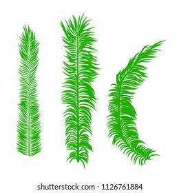 palm tree leaves