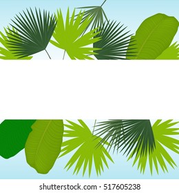 Palm tree leaves background. Greeting card. Vector.