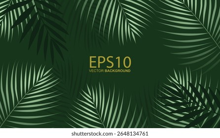 palm tree leaves background pro