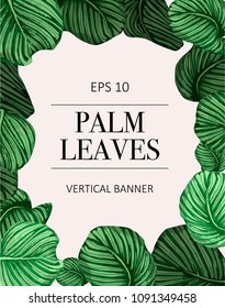 Palm tree leaves background template. Tropical greeting card.