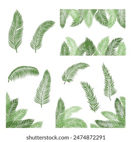 Palm Tree Leaves Border Vector Collection