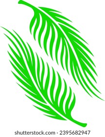 Palm tree leaves can be used as a symbol or pattern on a white background