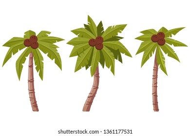 Palm tree with leaves and coconuts vector cartoon set isolated on white background.