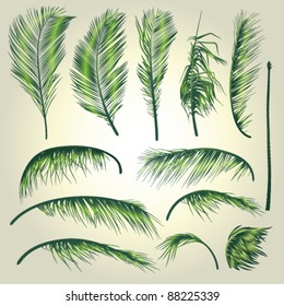 Palm Tree Leaves . A Construction Set of palm tree leaves that allows to make a variety of different palm trees.