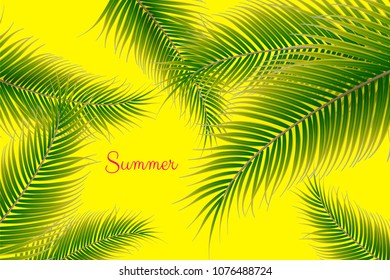 Palm tree leaves decorative background in 3d illustration, fluorescent yellow