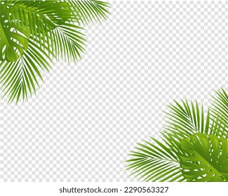 Palm Tree Leaves Leaves Frame Isolated Transparent Background , Vector Illustration