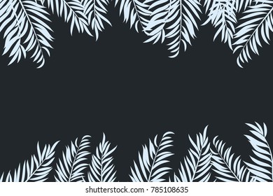 Palm tree leaves isolated on dark background with space for text.